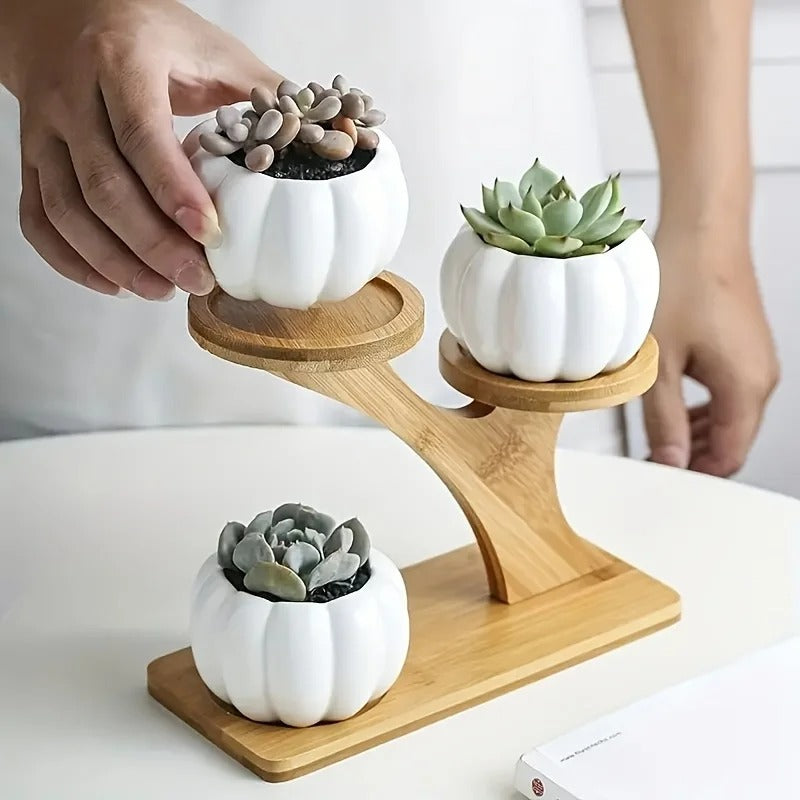 BambooNest™ Bambu Hylla i 2 Plan
