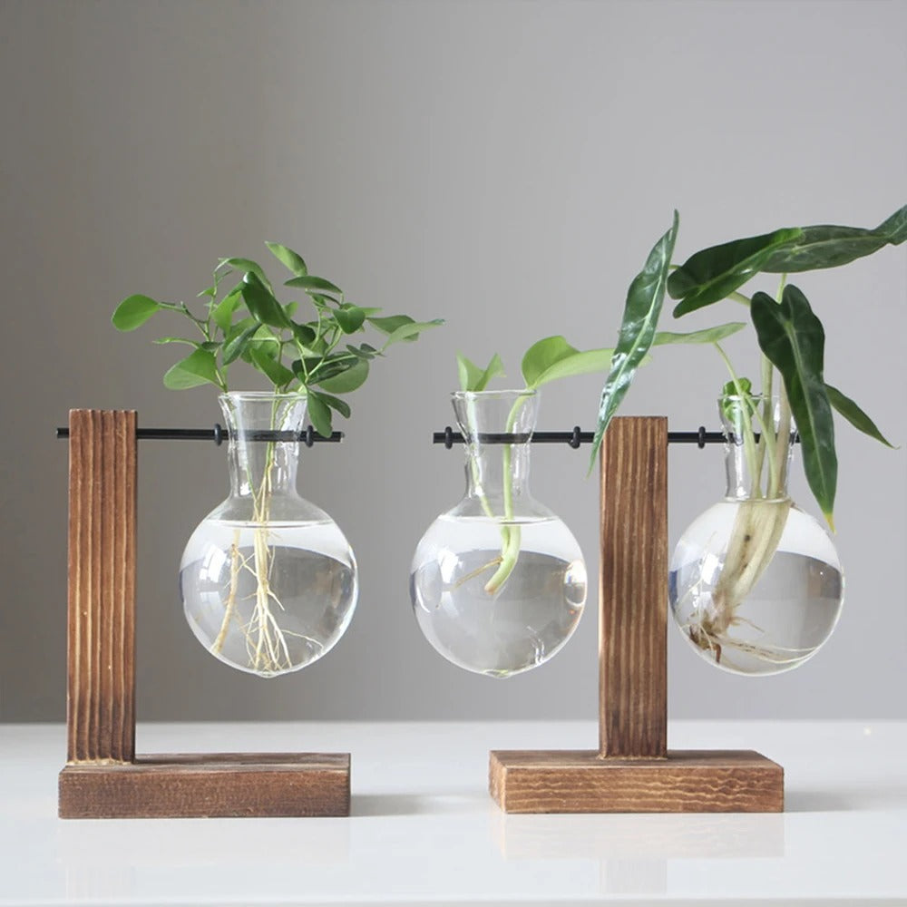 FloraGlow™ Glasvas med Träställning